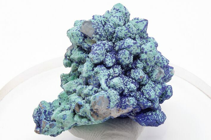 1.2" Vibrant Malachite and Azurite on Quartz Crystals - China